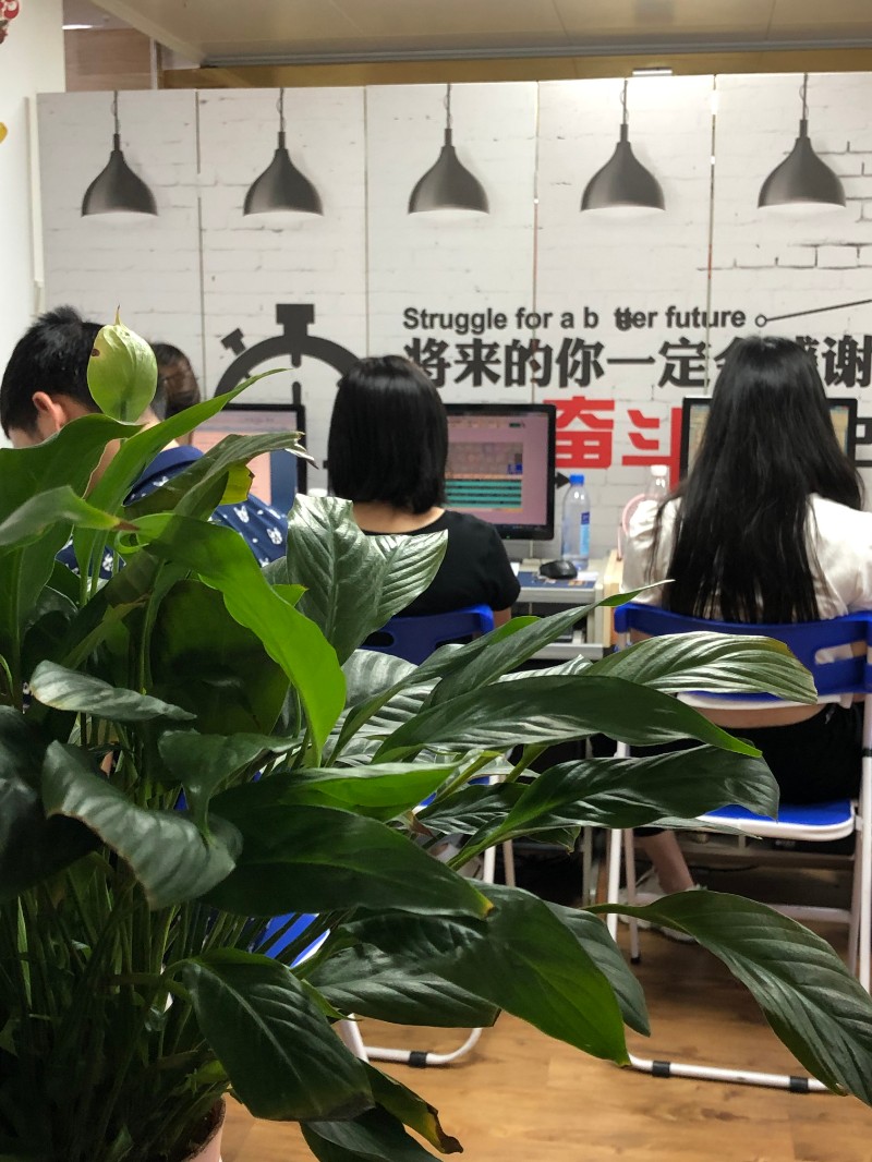 深圳罗湖区红岗花园会计培训,零基础入学随到随学学会为止