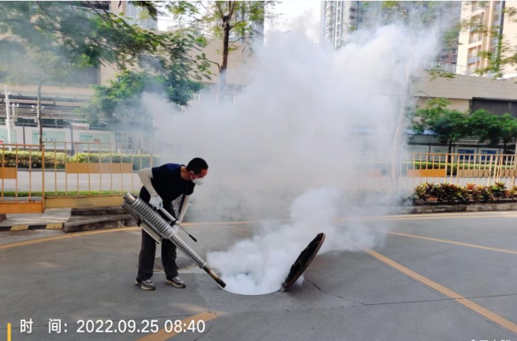 深圳除四害公司,专业灭白蚁,灭蟑螂老鼠等各种杀虫消杀服务公司